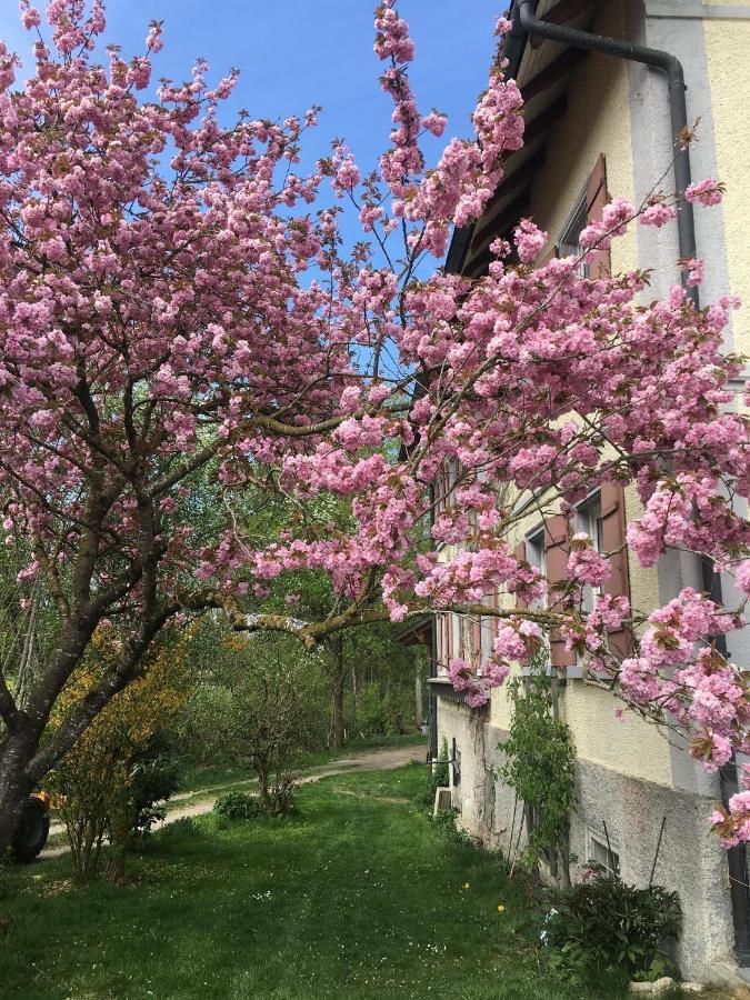 Ferienhof Weber Nieratz Wangen im Allgäu Exterior photo