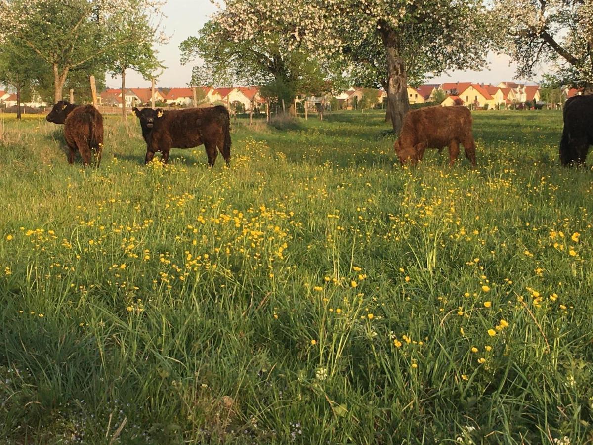 Ferienhof Weber Nieratz Wangen im Allgäu Exterior photo