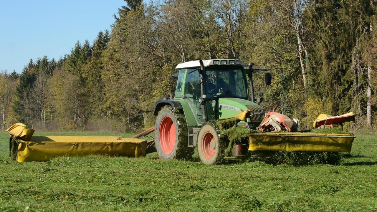 Ferienhof Weber Nieratz Wangen im Allgäu Exterior photo