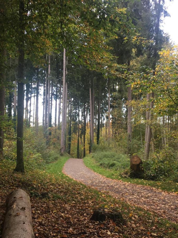 Ferienhof Weber Nieratz Wangen im Allgäu Exterior photo