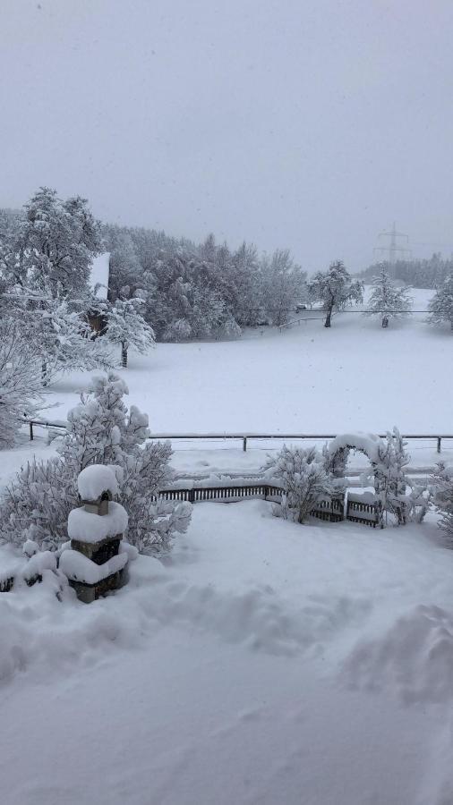 Ferienhof Weber Nieratz Wangen im Allgäu Exterior photo